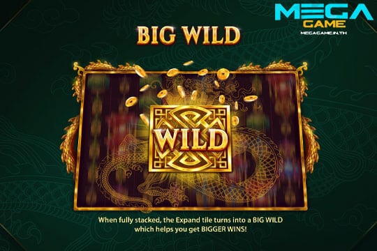 ฟีเจอร์ Big Wild