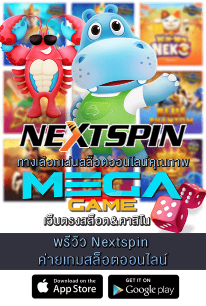 พรีวิว Nextspin