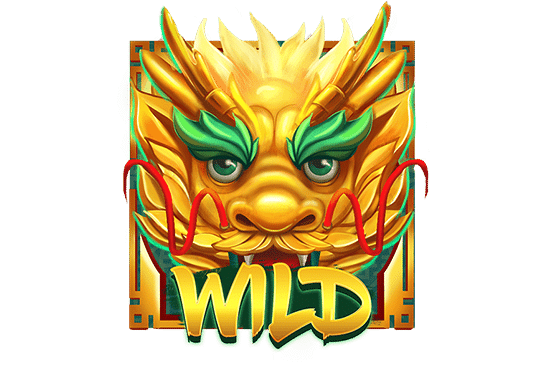 สัญลักษณ์ Wild MD